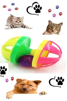 Kedi Köpek Oyun Topu Çıngıraklı Egzersiz Aleti Çan Kedi Oyuncağı kedioyuncağı