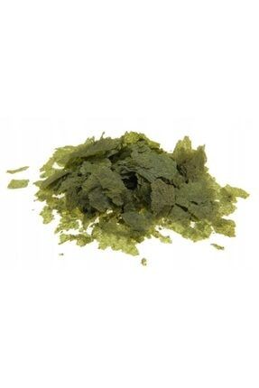 Algae Mix Bitkisel Pul Yem 500 Gram PRA-4059937-1203