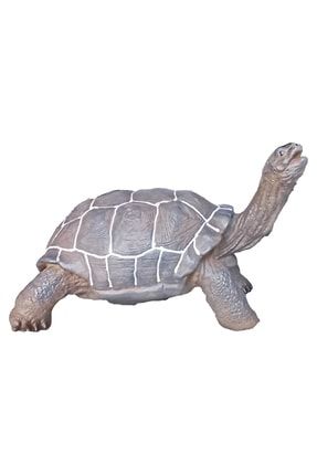 Oyuncak Kaplumbağa Figürü 20cm. Vahşi Hayvanlar Serisi Oyuncak Yumuşak Et Kaplumbağa TL-172