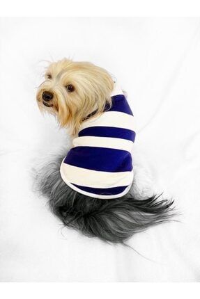Mega Cream Stripe Atlet By Köpek Kıyafeti Köpek Elbise ATLETMGCRMSTRP1
