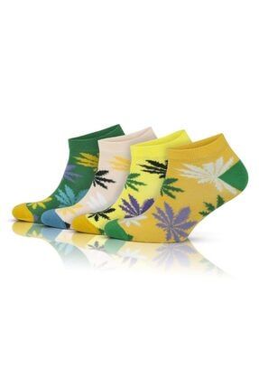 GoWith 4'lü Pamuklu Yaprak Desenli Şık Tarz Renkli Kadın Patik Çorabı 2133 2133-Wom-Cot-Ank