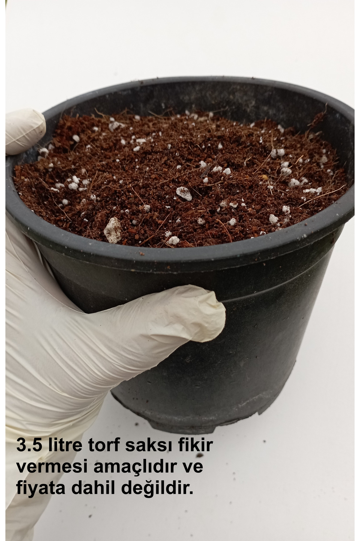 Gübreli Toprak 3.5 L Kaktüs Sukulent  Menekşe için Osmocote gübre, Torf, cocopeat ve Perlit karışımı 7