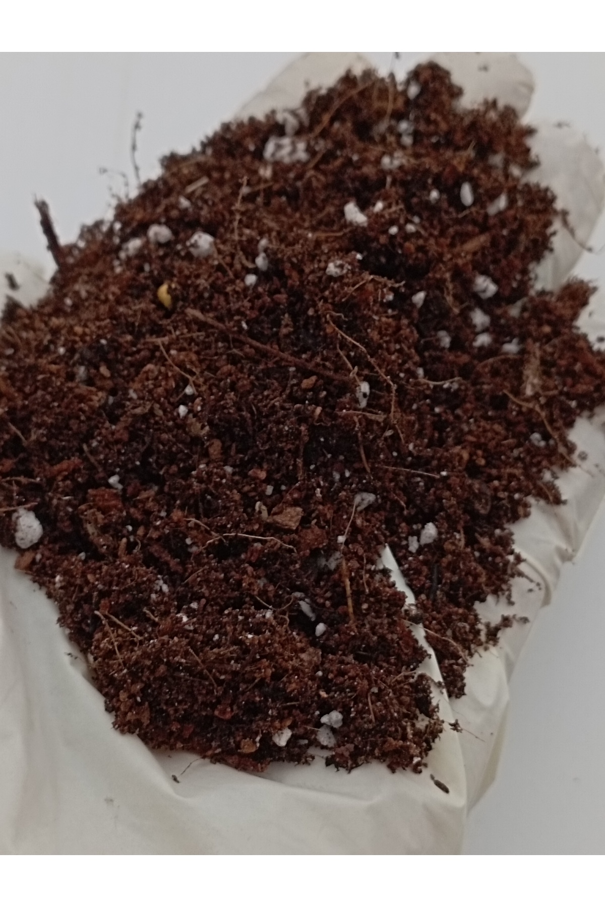 Gübreli Toprak 3.5 L Kaktüs Sukulent  Menekşe için Osmocote gübre, Torf, cocopeat ve Perlit karışımı 6