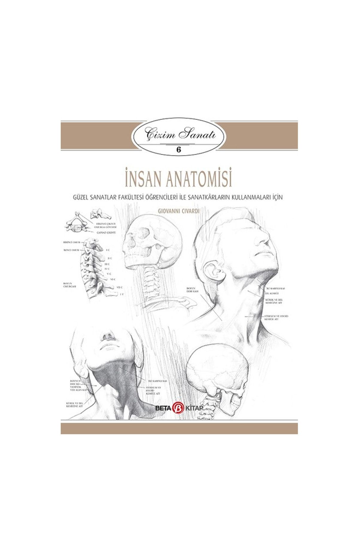 Beta Çizim Sanatı 6 - İnsan Anatomisi