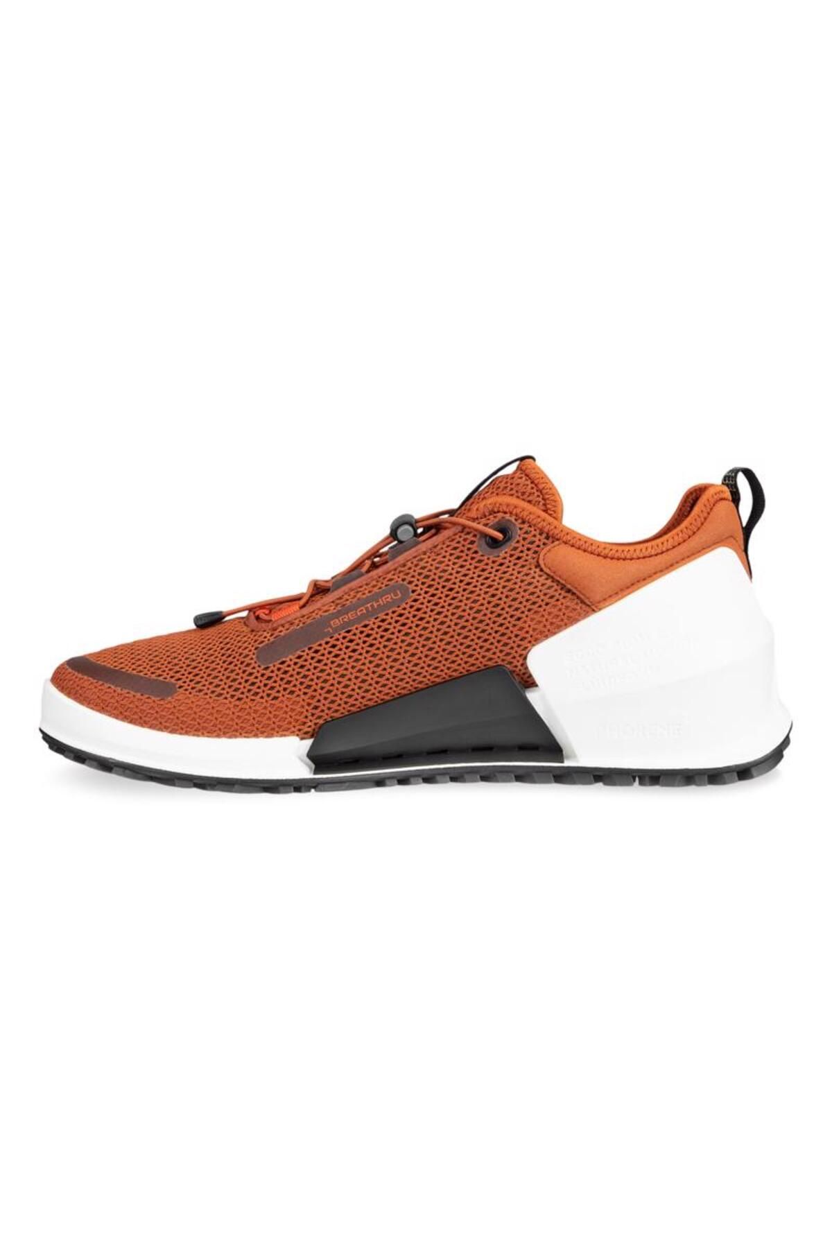 Ecco 20 discount