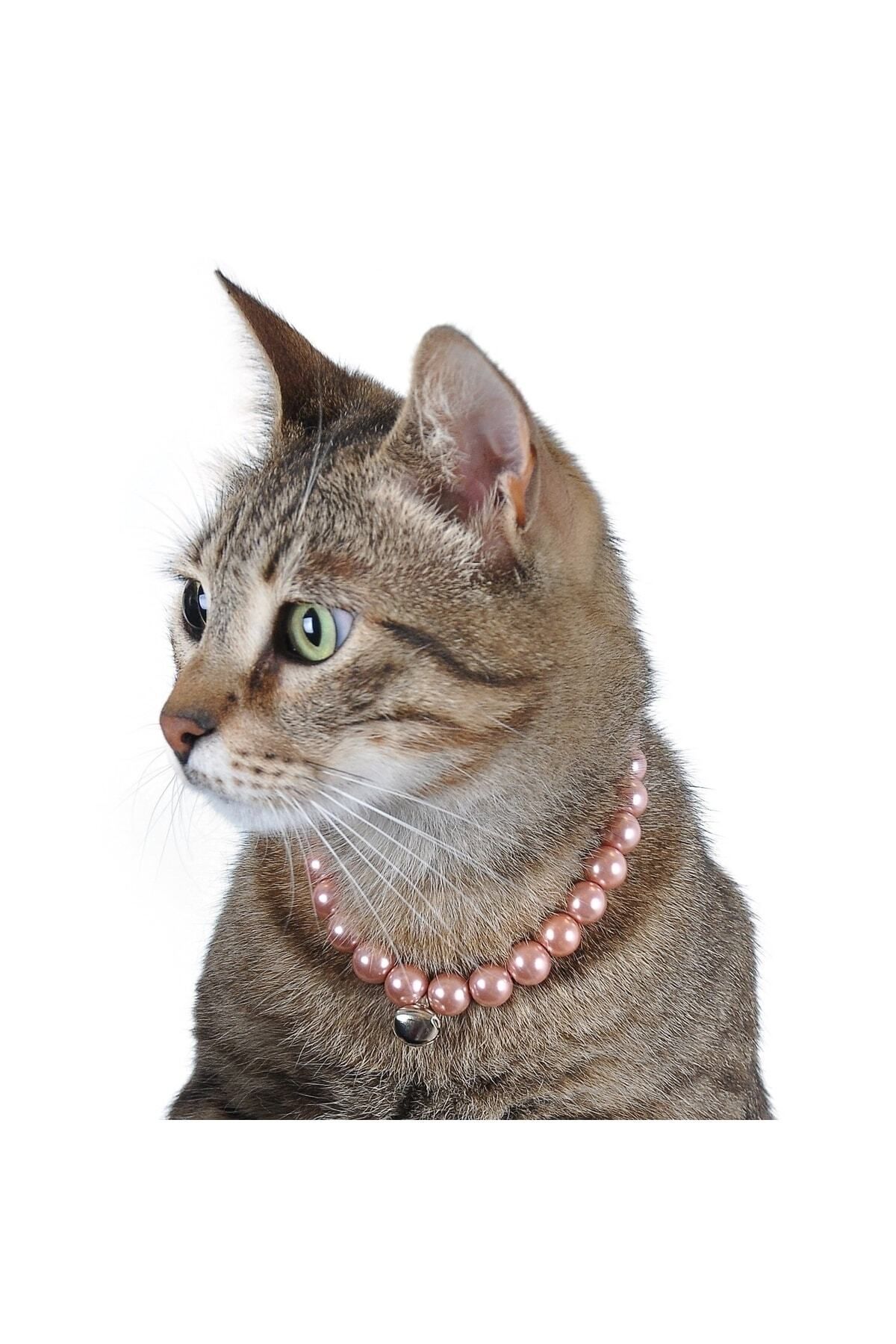 Kedi Köpek Zilli Inci Boyun Tasması Boyun Tasma Pembe Renk