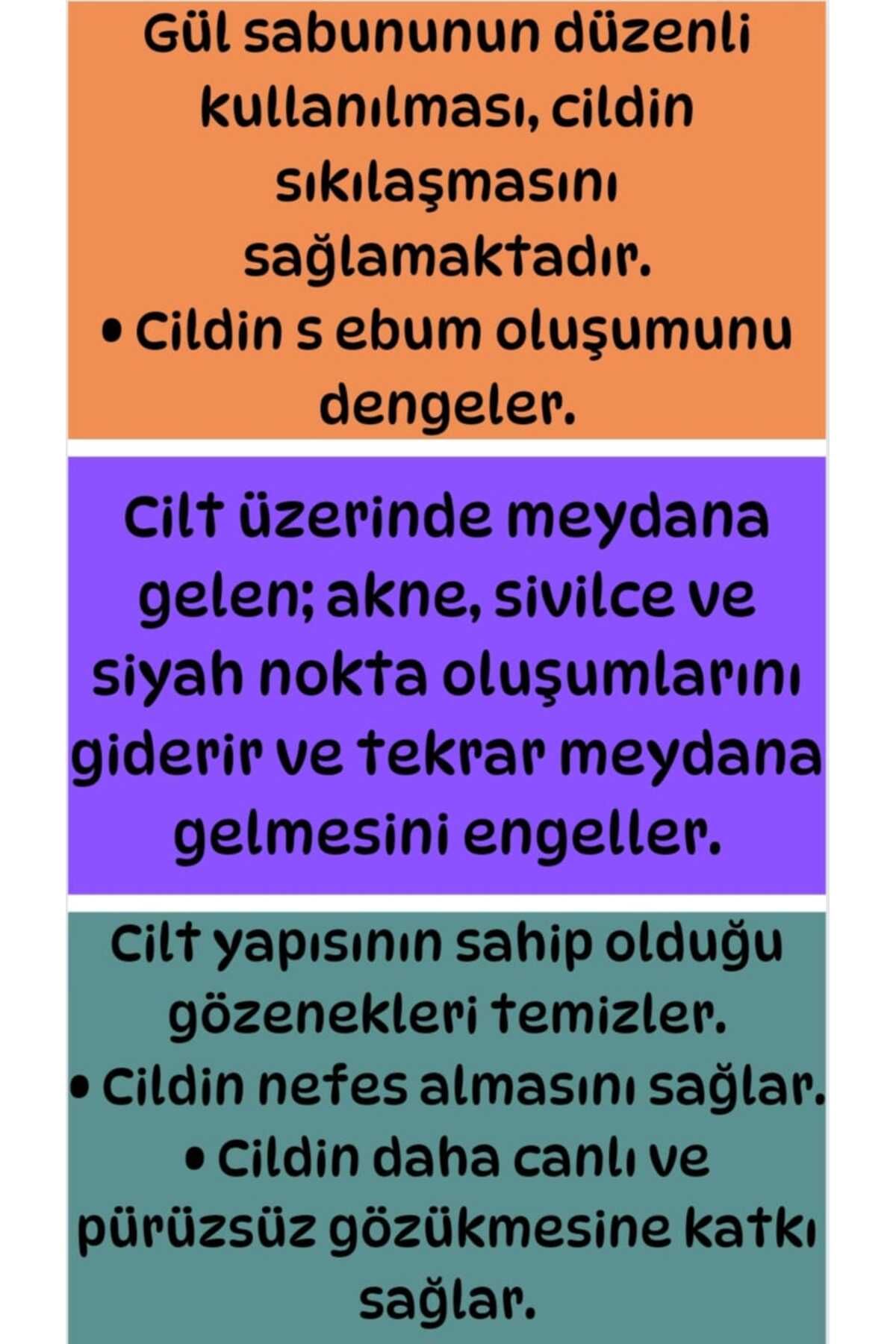 1 org zoom - ترند تهران