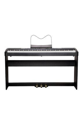 RP-35 Dijital Taşınabilir Piyano (88 Tuş - Siyah) RP-35-BK