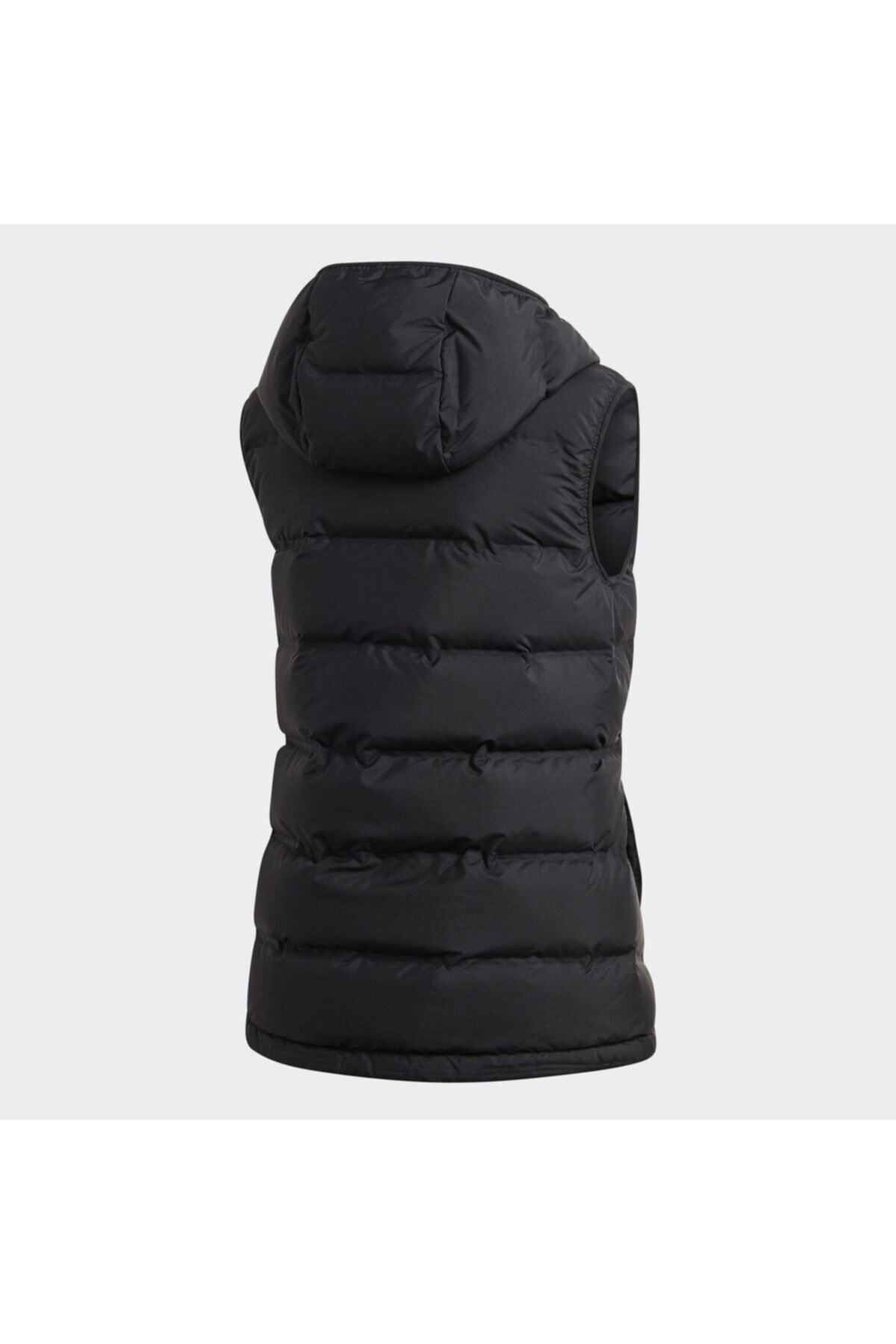 Adidas W HELIONIC VEST Siyah Kadın Mont 101117470 Fiyatı ve Yorumları -  TRENDYOL