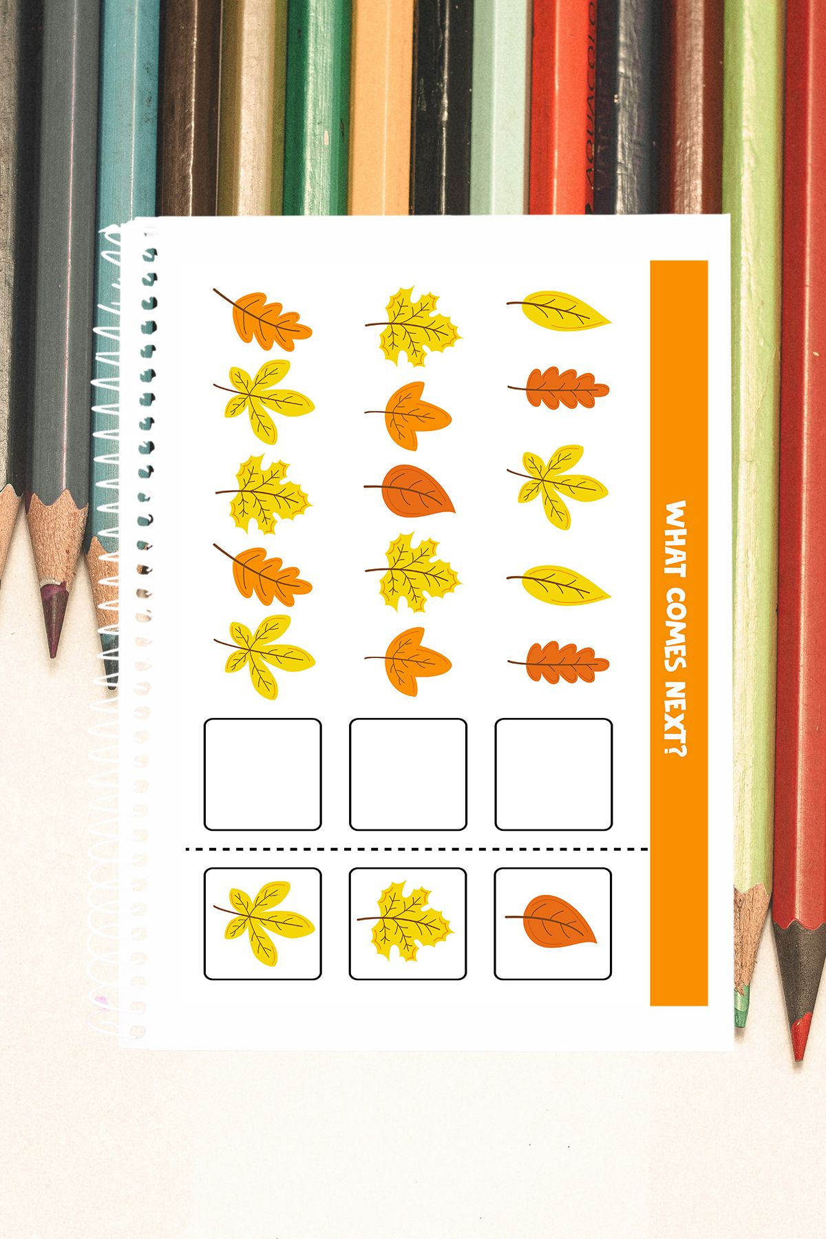 Minicopy-Preschool Themed - Sample, Activity and Coloring Notebook (Black/White, 20 Number) 2