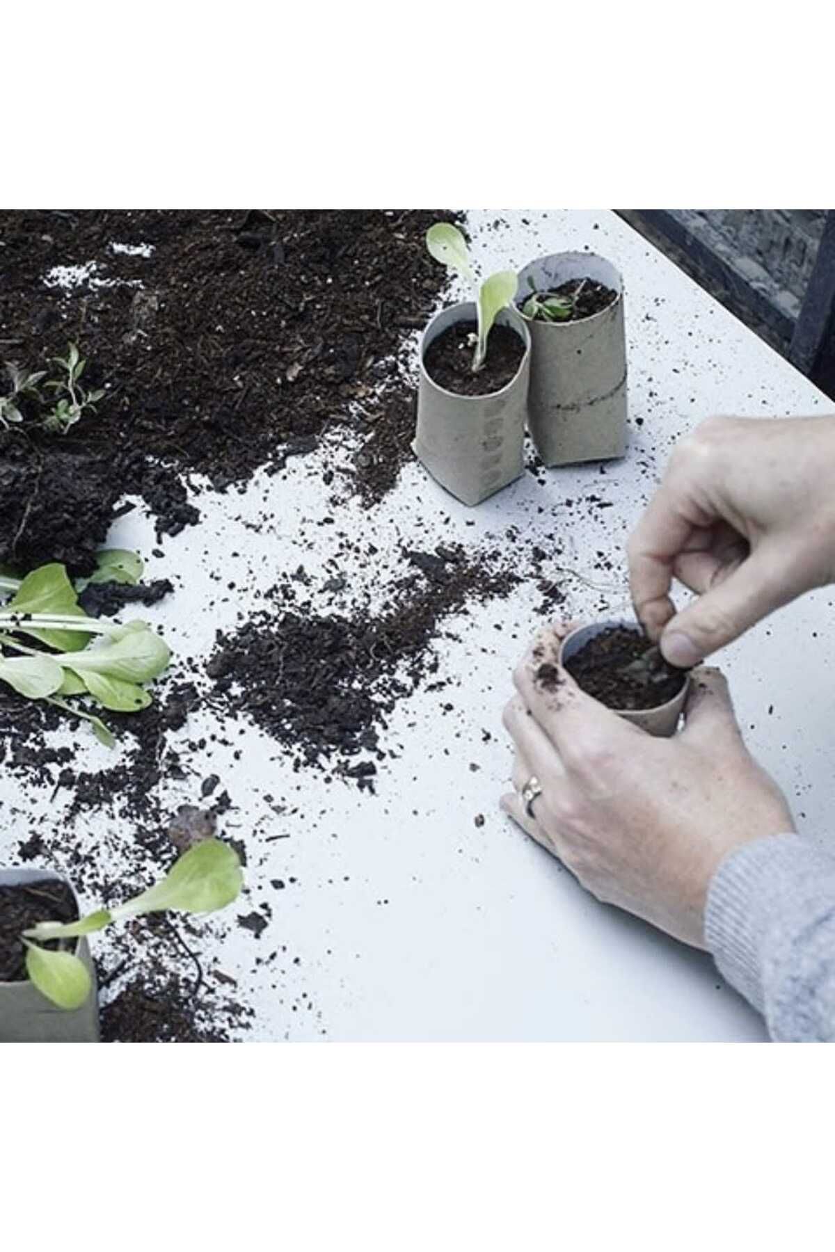 Organik Meyve Ağacı Gübresi 10 kg Özel Karışım