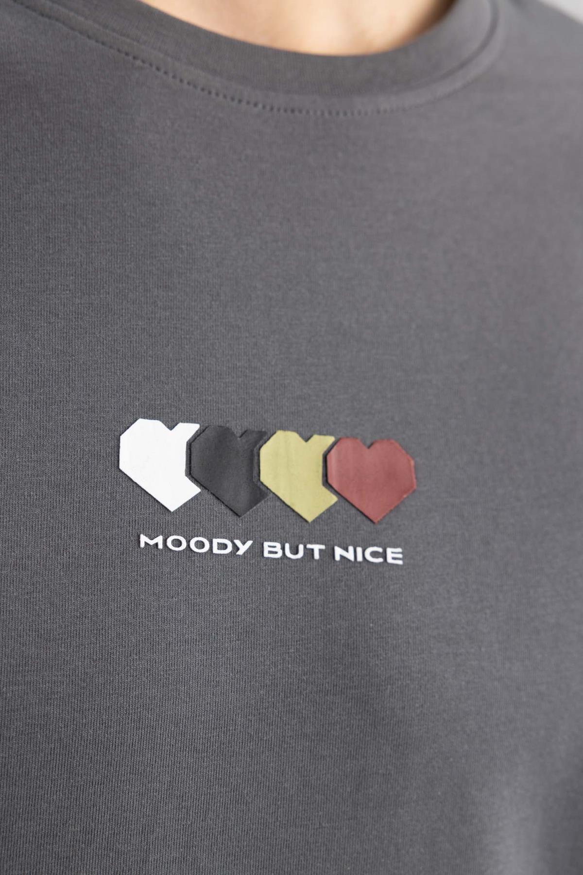 تی شرت مردانه دفاکتو | B5076AX24SP Defacto - Image 5