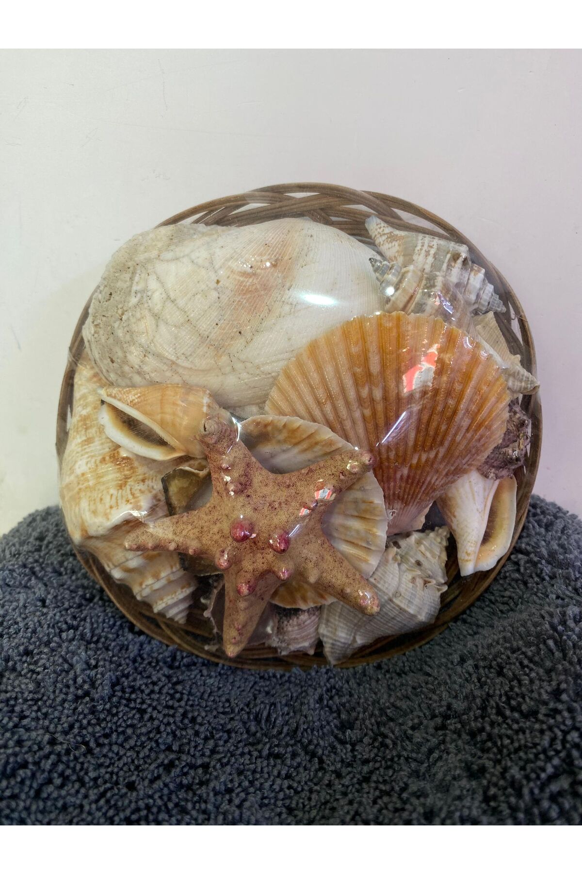 ucuzalalım Sepette Deniz Kabuğu 15Cm
