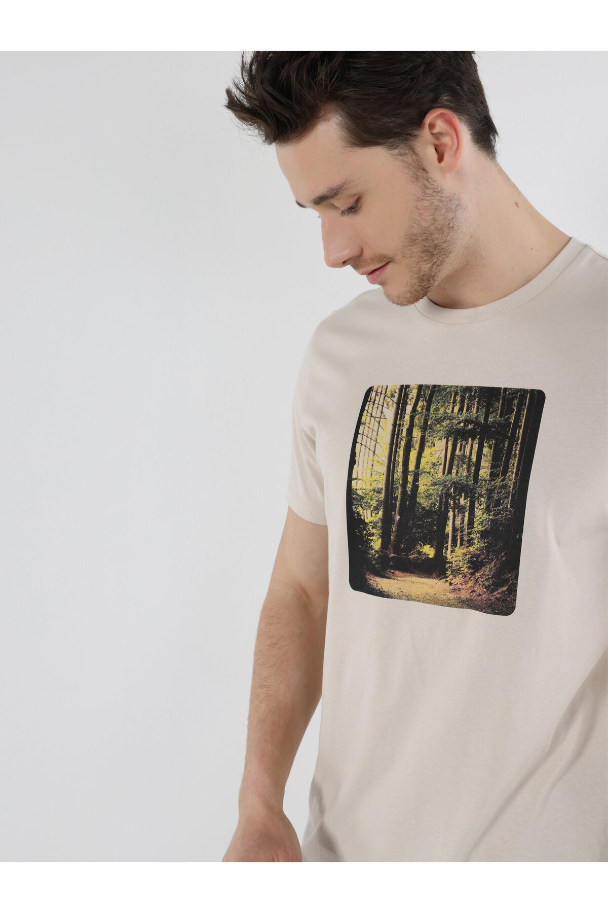 تی شرت مردانه کولینز | .CL1061819_Q1.V1_LBG Colin’s - Image 3