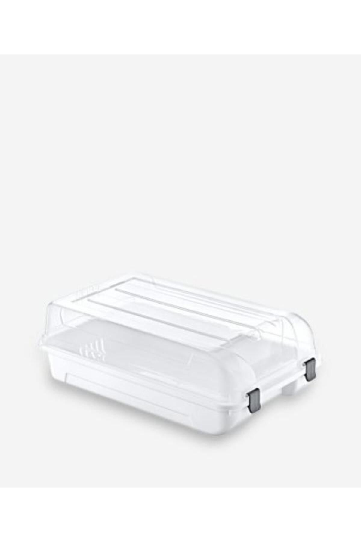 PANJI-Smartness Midi Shoes - White Pack of 10 1