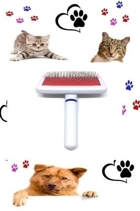Kedi Köpek Tüyü Tarama Fırçası Pire Tarağı + Ponponlu, Zilli Tüylü Kedi Oltası Ahşap Kedi Oyuncağı kedioyuncağı