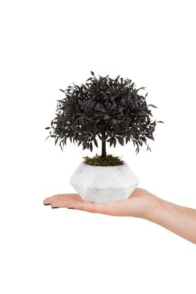 Mermer Görünümlü Saksıda Yapay Bonsai Çiçeği MERMERBONSAI-CCKMSN