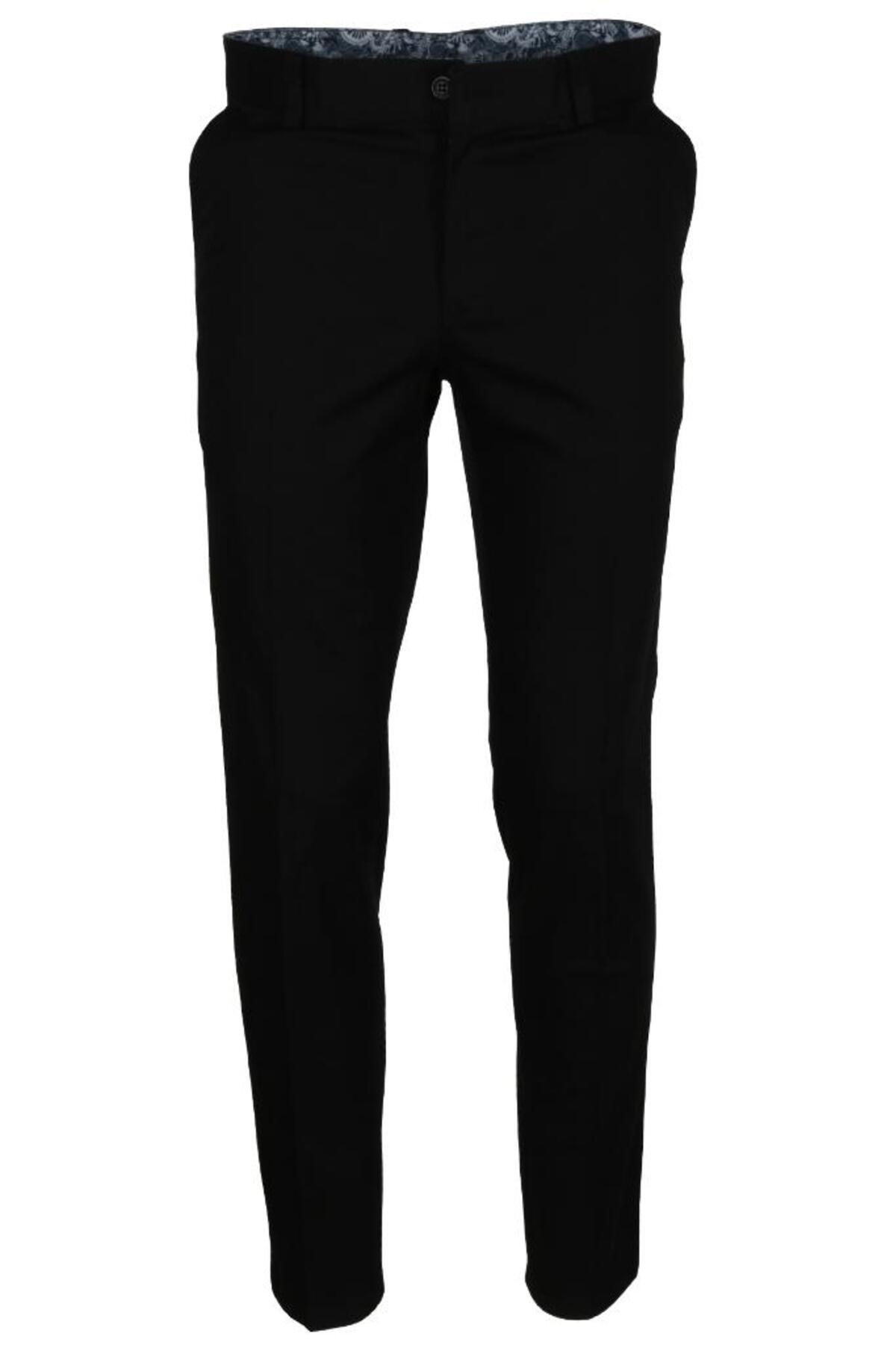 Men's Linen Pants Seasonal Regular Cut RAR01181