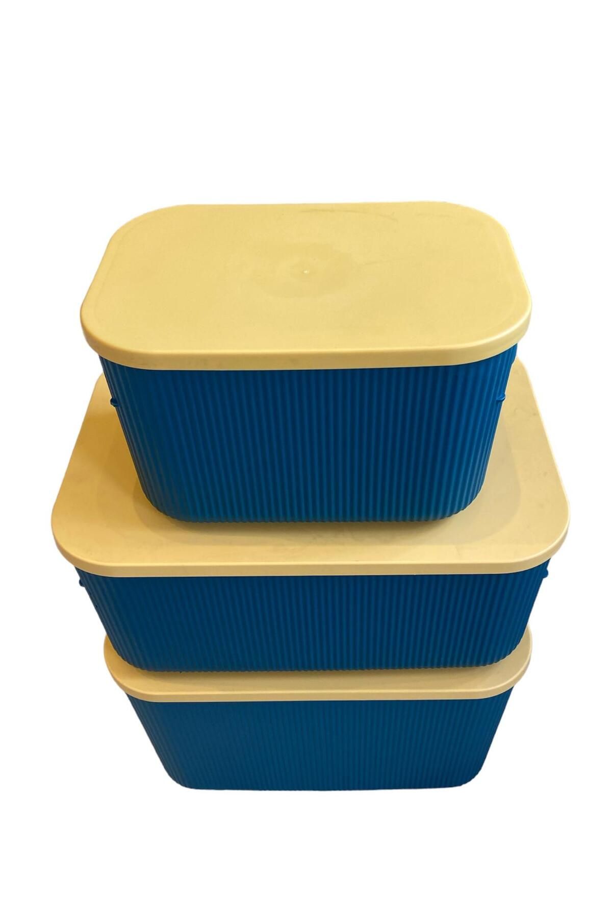 Bayev-Σετ 3 μεγεθών Πράσινο 6,2 - 13 - 21 Lt Storage Multi-Purpose Closet Organizer, Storage Box 3
