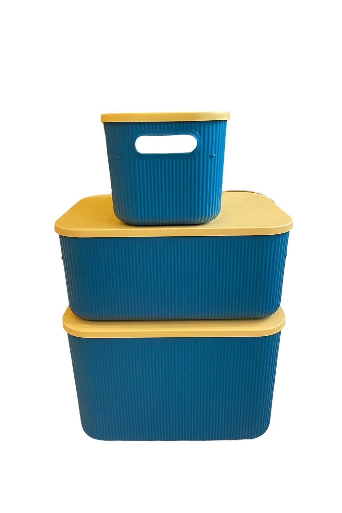 Bayev-Σετ 3 μεγεθών Πράσινο 6,2 - 13 - 21 Lt Storage Multi-Purpose Closet Organizer, Storage Box 5