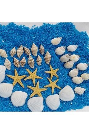 Karışık 3 Çeşit Deniz Kabuğu 50gr Deniz Kabukları Silis Kabuk + 50gr Teraryum Mavi Kum+Yıldız AKER3CESITDENIZKABUGUKUMVEYILDIZ52211