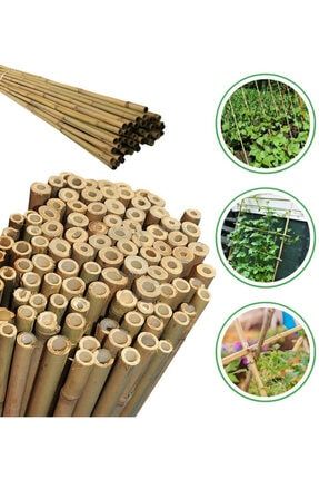 Bambu Fidan Bitki Destek Çubuğu 150 Cm 25 Adet ekofidanbambu
