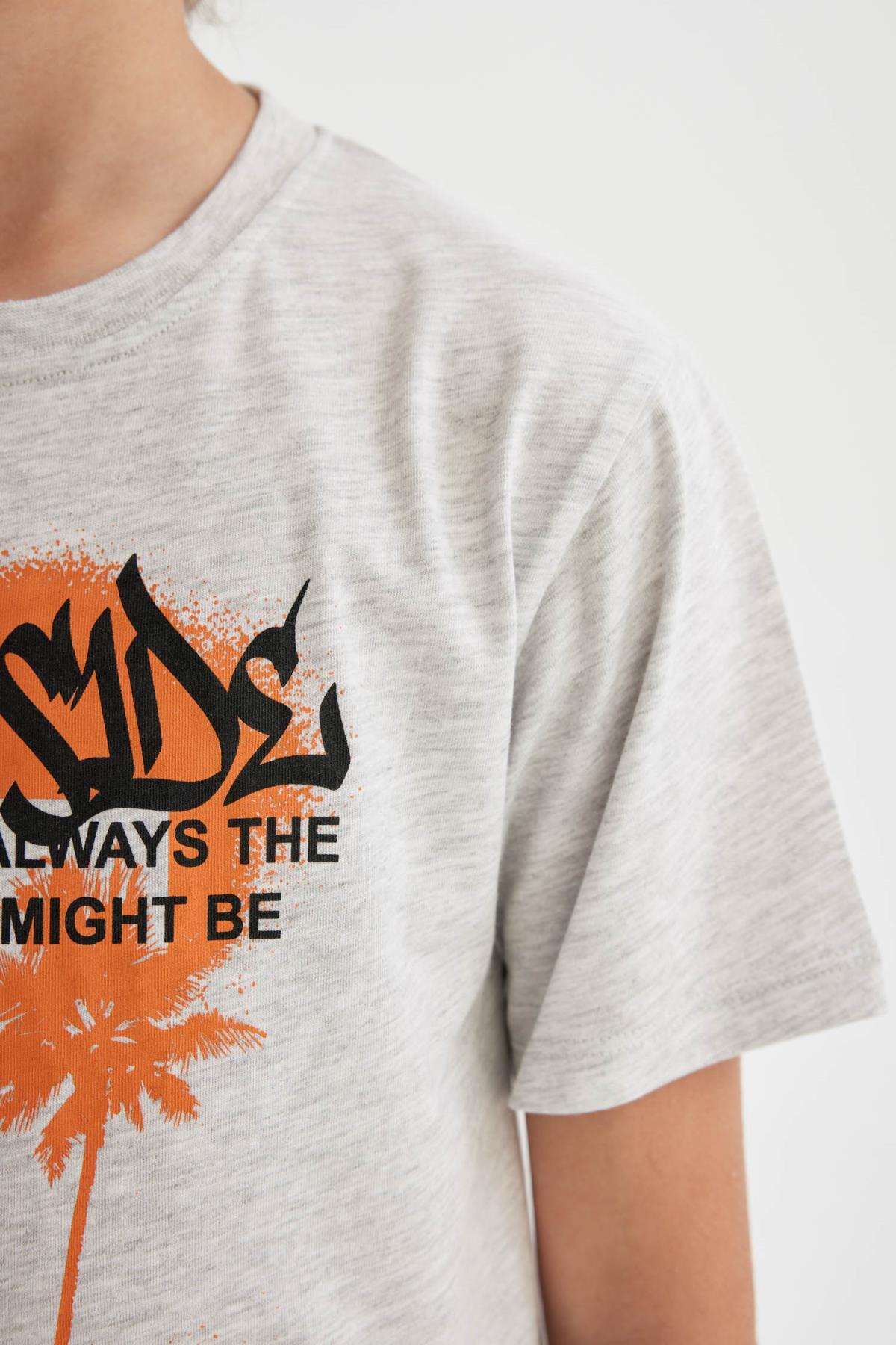 تی شرت پسرانه دفاکتو | C4659A824SM Defacto - Image 5