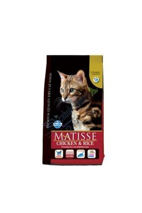 Golosi Indoor Somonlu Pirincli Kisirlastirilmis Yetiskin Kedi Mamasi 20 Kg Trendyol