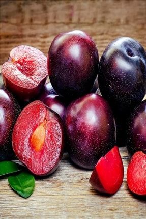 Baktar Tuplu Asili Nadir Cesit Ozel Uretim Ici Disi Kirmizi Elma Fidani Trendyol