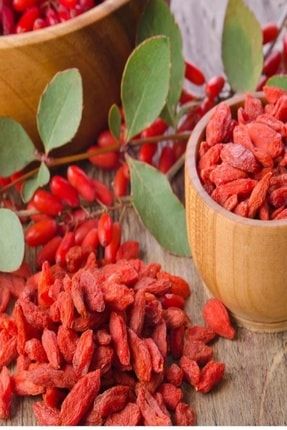 Baktar Tuplu Nadir Bulunan Ozel Siyah Goji Berry Fidani Trendyol