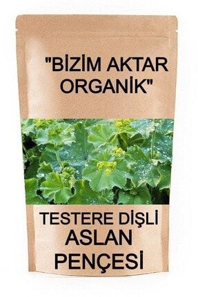 Arifoglu Dogal Testere Disli Aslan Pencesi 80gr Trendyol