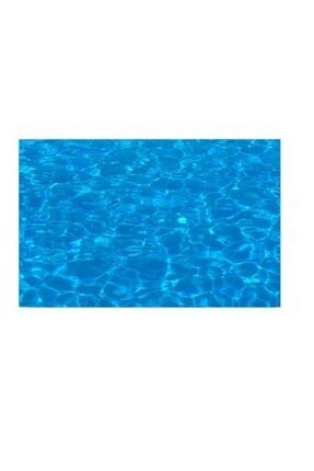 Kanki Pet 70 Cm Akvaryum Arka Fon Yapistirma Kp7045015 70x45 Cm Trendyol
