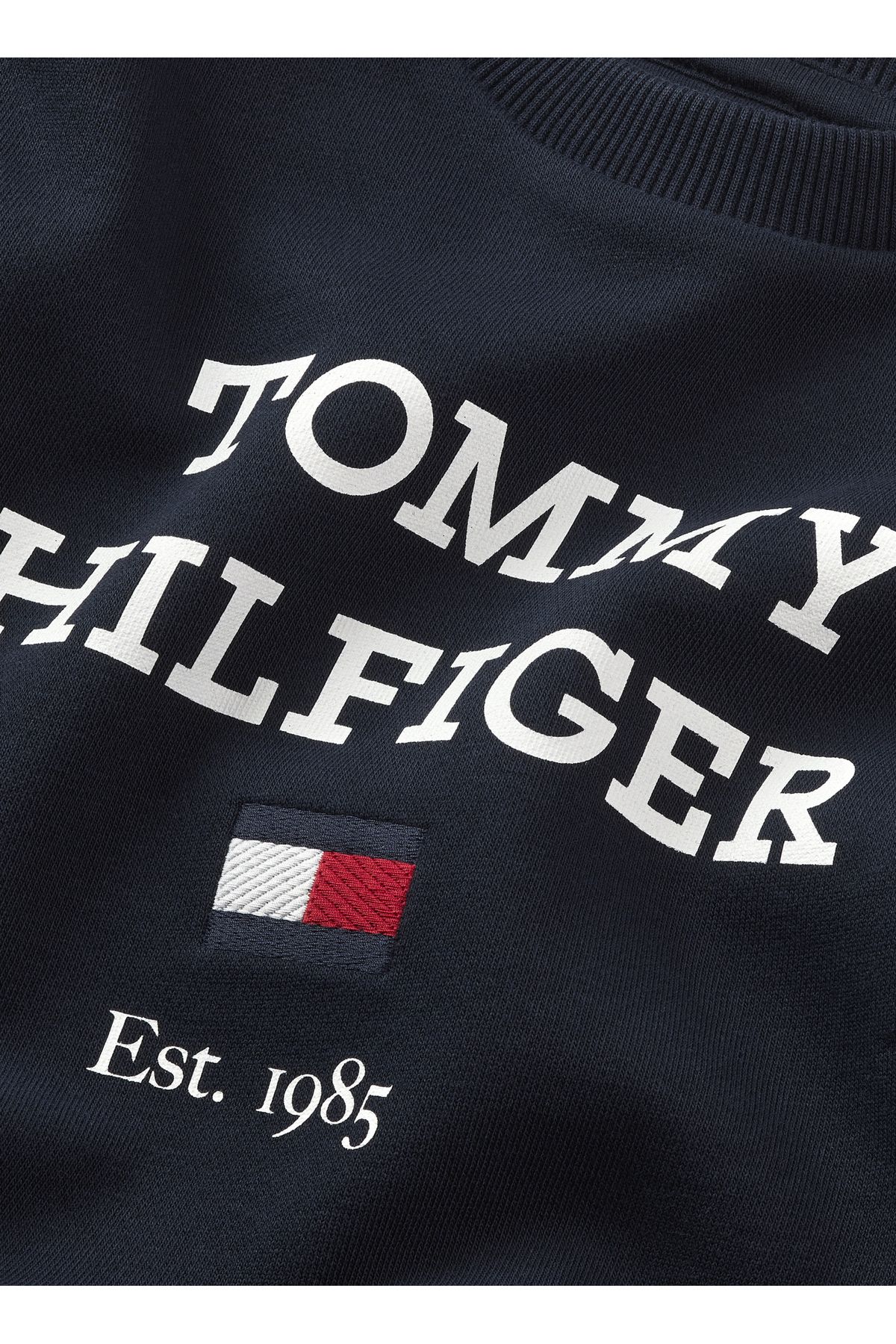 سویشرت آبی مردانه خوکی دریایی طرح دار Tommy Hilfiger