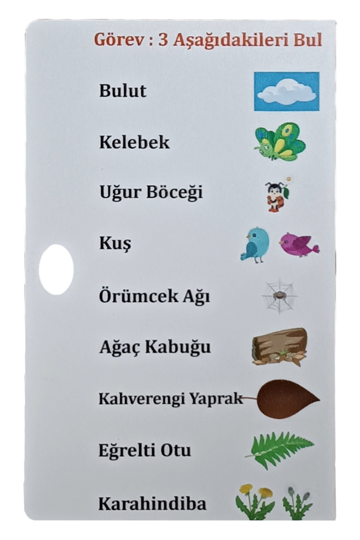 بازی کارآگاه چوبی: بازی کارکردی آموزشی اسباب‌بازی