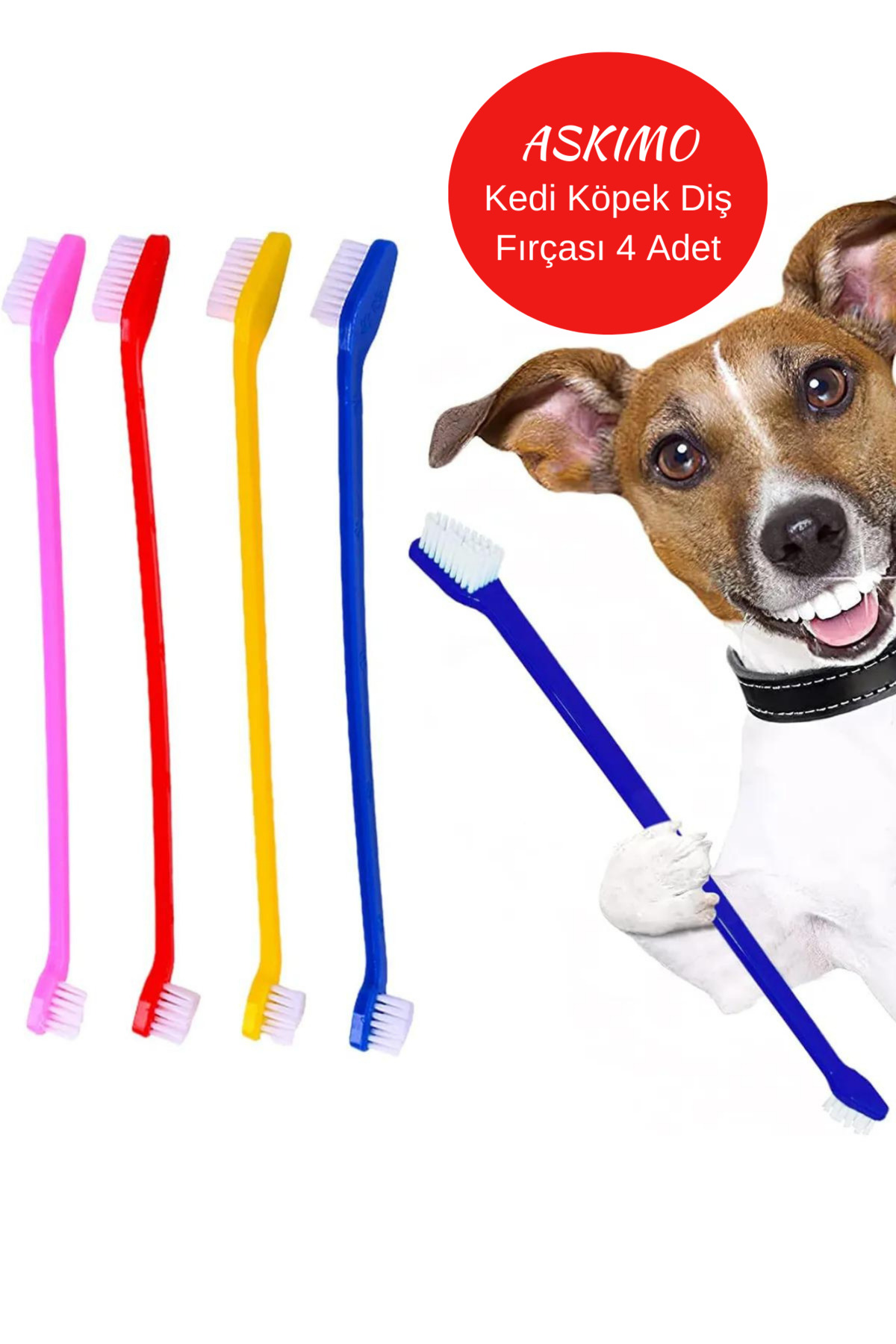 Askımo Küçük Irk Diş Fırçası Kedi Köpek Diş Sağlığı 4 adet Pet Ağız Bakım Çift Taraflı
