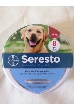 bayer seresto kene pire tasmasi ilacli tasma 38 cm fiyati yorumlari trendyol