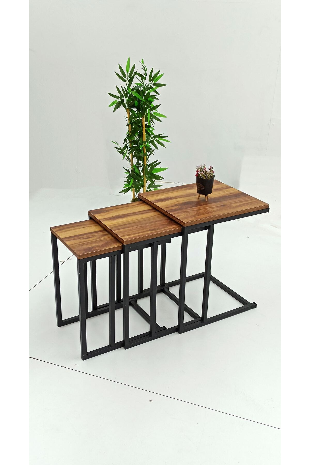3-Piece Zigon Coffee Table Walnut Table Black Foot Coffee Table