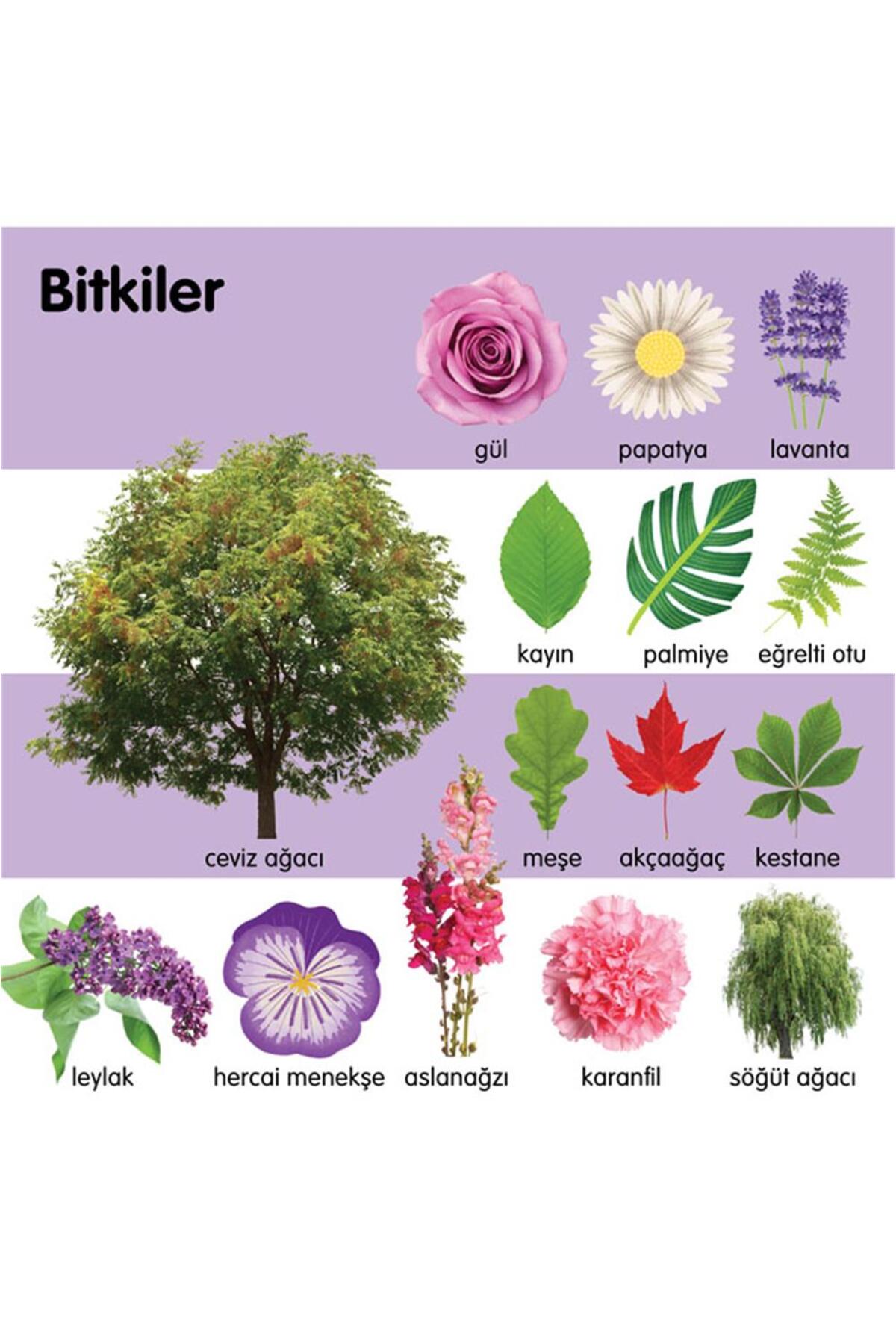 Remzi Kitabevi İlk 1000 Sözcük fotoğrafı 7 (önizleme)