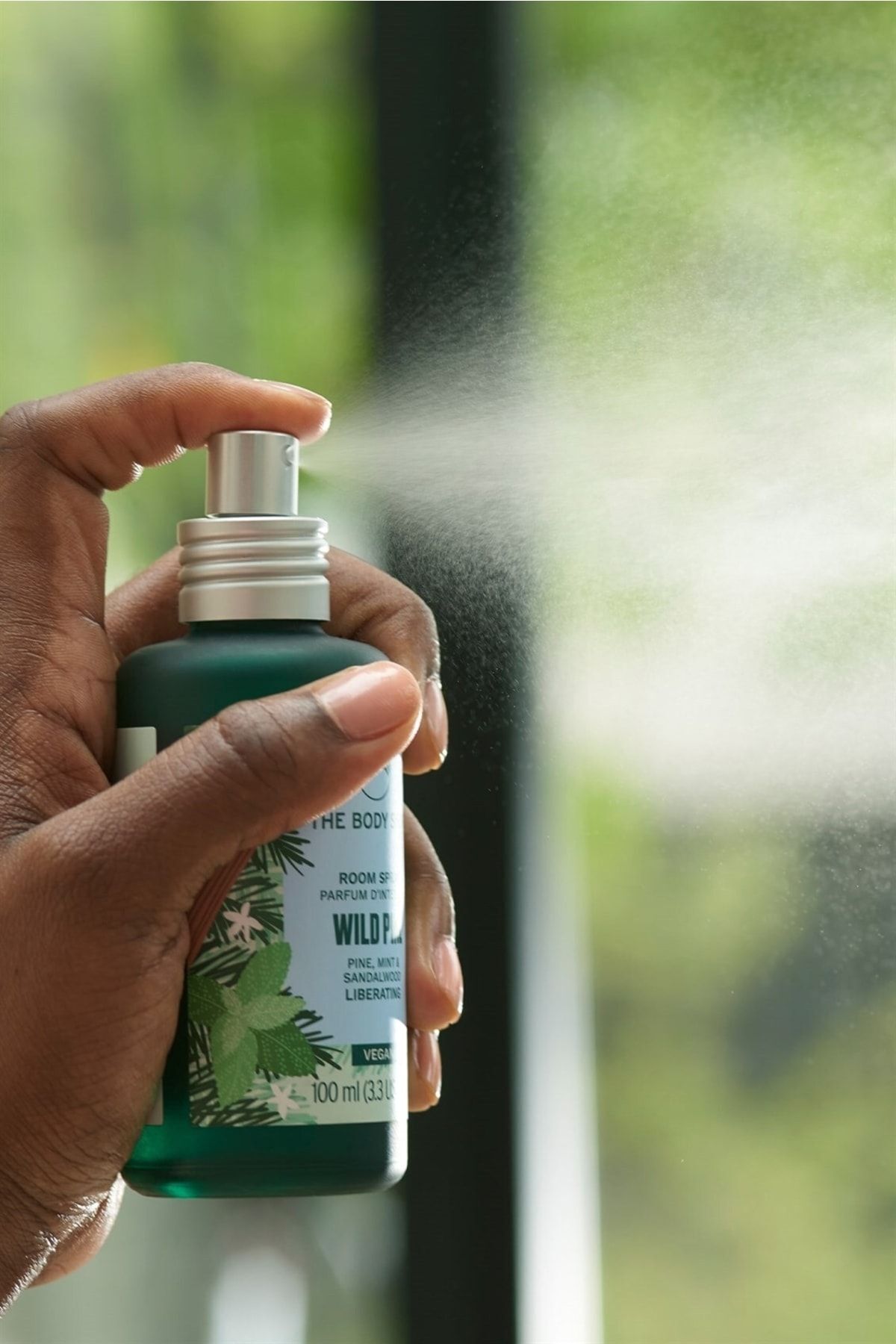 بادی شاپ خوشبو کننده هوا کاج وحشی