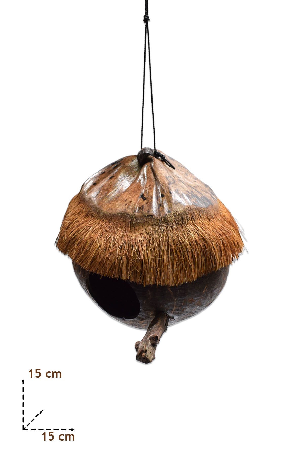 Hedicaret-Natural Coconut with Bird's Nest Hanger 4