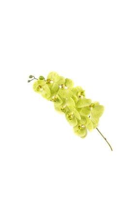 Yeşil Tek Yapay Orkide 81cm P282.327736