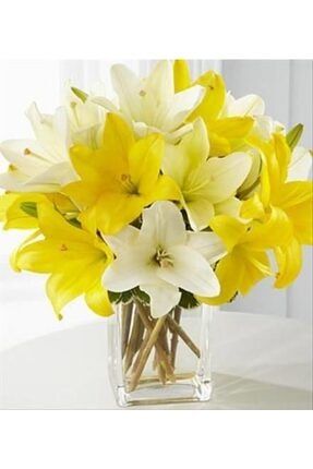 3 Adet Mis Kokulu Sarı Beyaz Karışık Zambak Lilyum Çiçeği Soğanı 684526