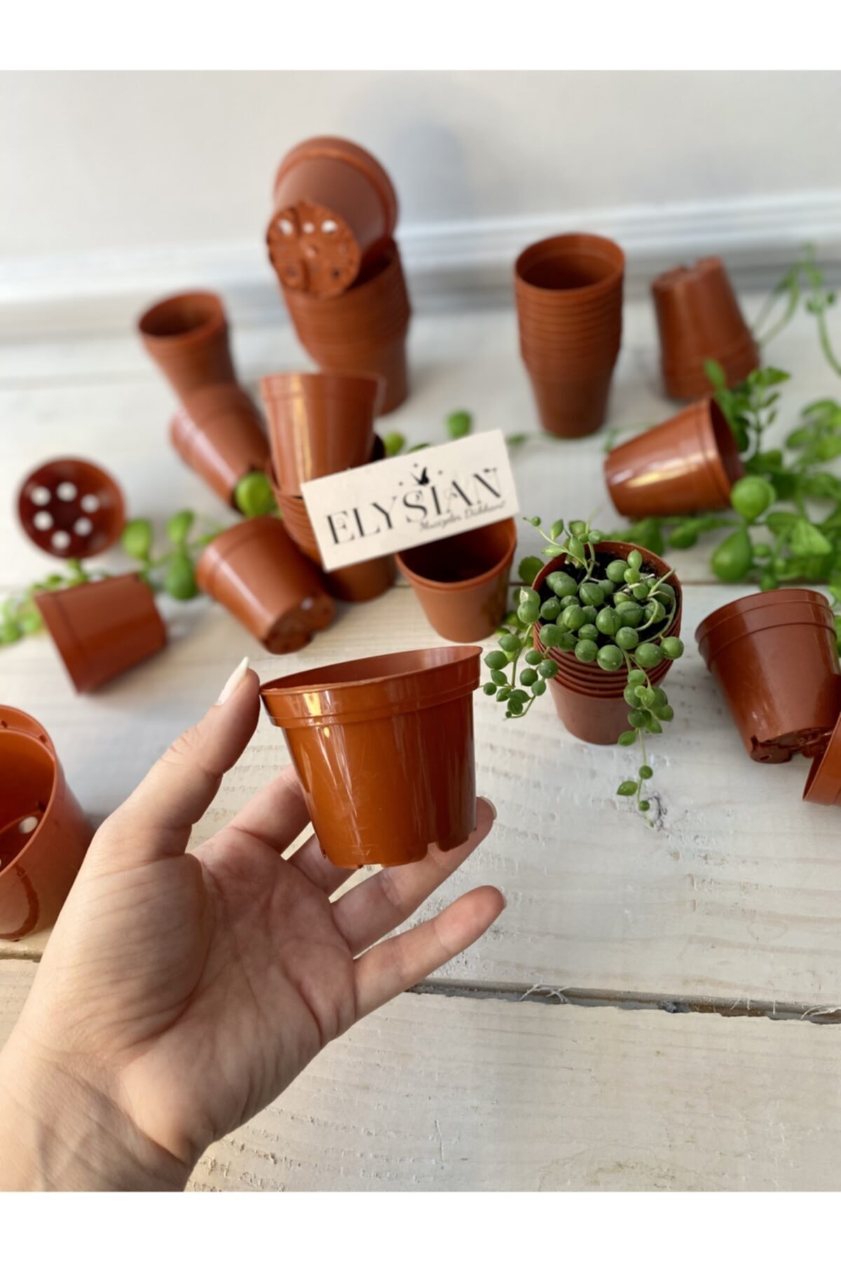 Üretim Saksı 20 Adet 0,12lt Kaktüs Sukulent Üretim Saksısı 67x54 Cm Kiremit Renkli Plastik Saksı 3