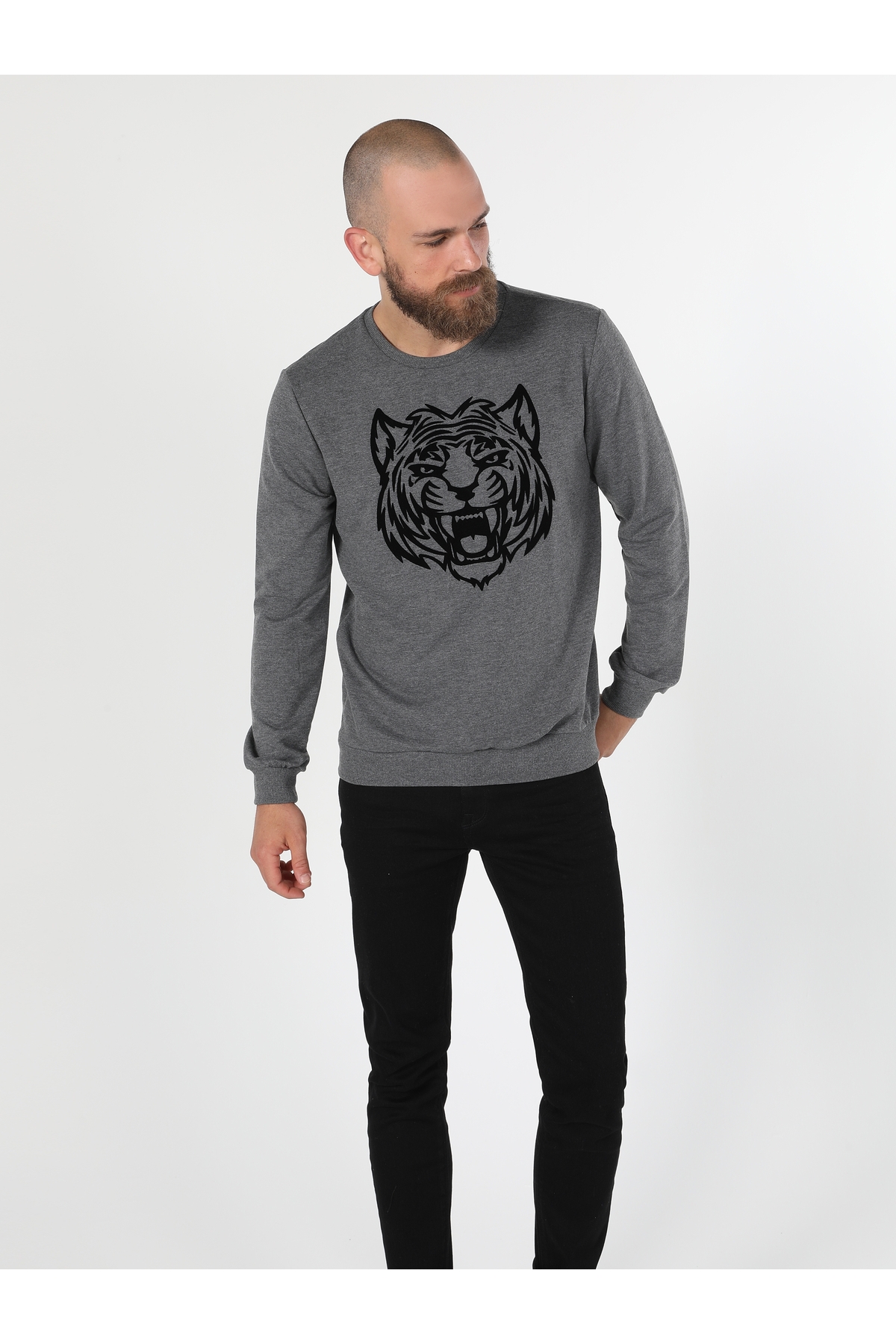 سویشرت مردانه کولینز | .CL1060121_Q1.V2_ANM Colin’s - Image 3