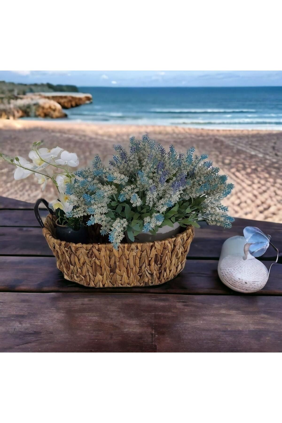 T.Concept-T. Concept Black Metal Handle Wicker Basket - Multi-Purpose, Medium Size Organization and Storage 4