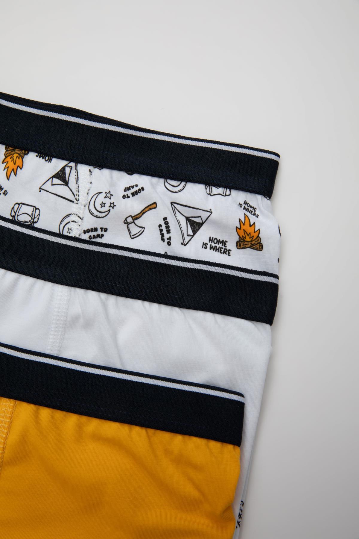 باکسر پسرانه دفاکتو | C7755A824SM Defacto - Image 4