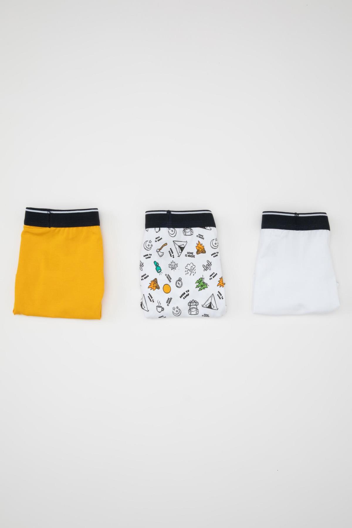 باکسر پسرانه دفاکتو | C7755A824SM Defacto - Image 5