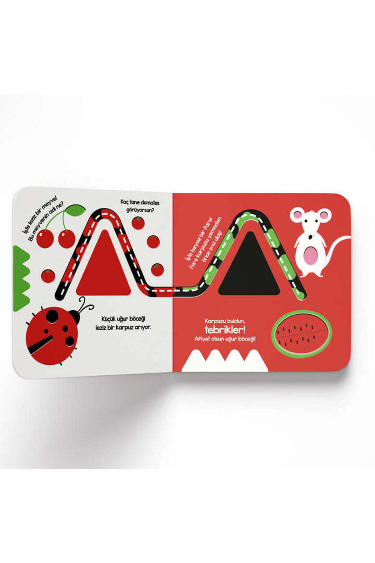 Neobebek Dikkatli Bebek Serisi (12 AY) (YÜKSEK KONTRASTLI OYUKLU KİTAP) fotoğrafı 2 (önizleme)