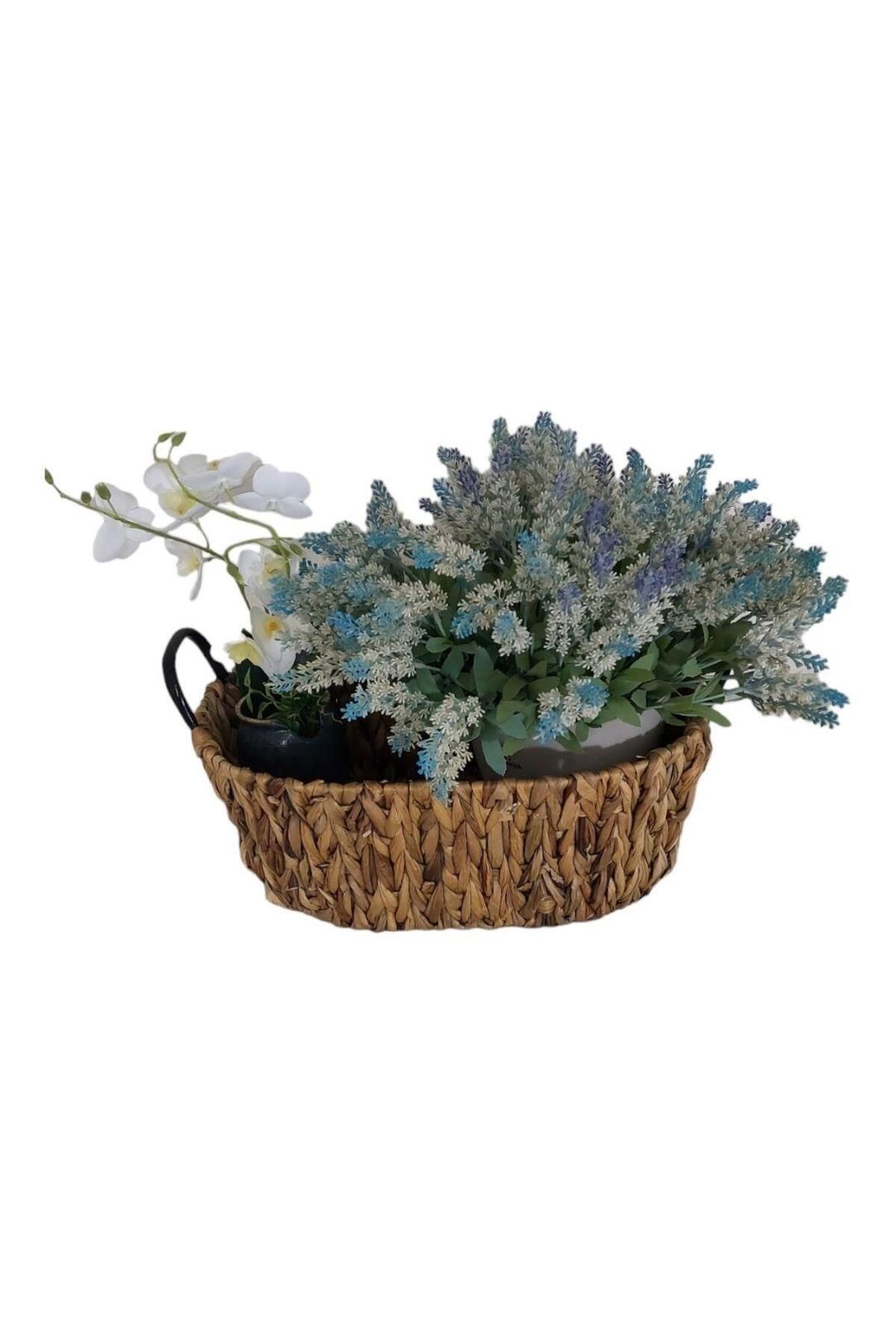 T.Concept-T. Concept Black Metal Handle Wicker Basket - Multi-Purpose, Medium Size Organization and Storage 2