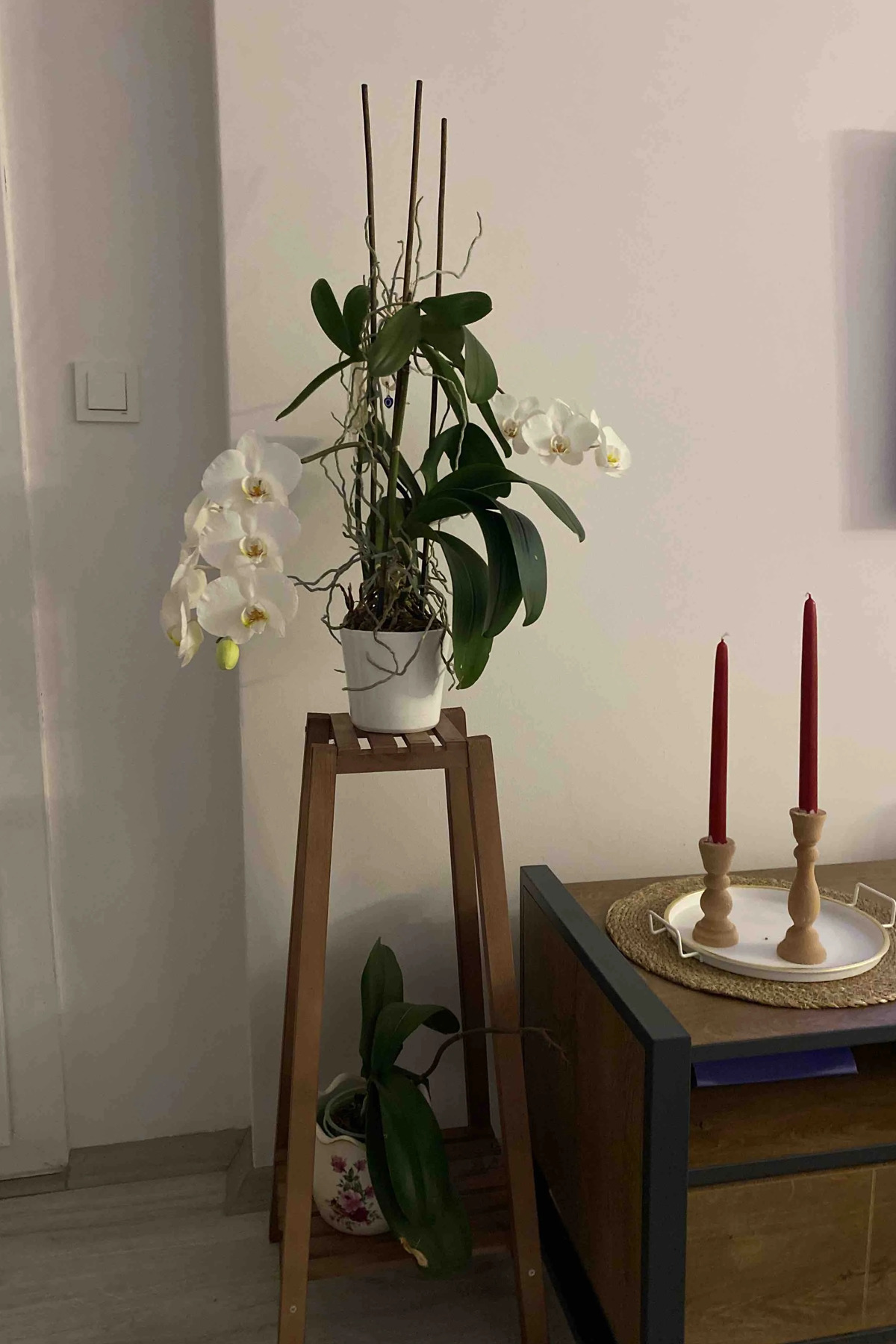 Moola 2 Katlı Ahşap Çiçeklik ,  Ahşap Saksılık ,  Çiçek Standı , Çok Amaçlı Katlı Raf